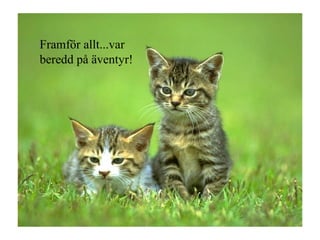 Framför allt...var beredd på äventyr! 