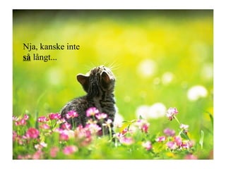 Nja, kanske inte  så   långt... 