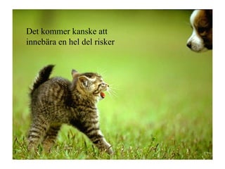 Det kommer kanske att innebära en hel del risker 