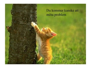 Du kommer kanske att möta problem 