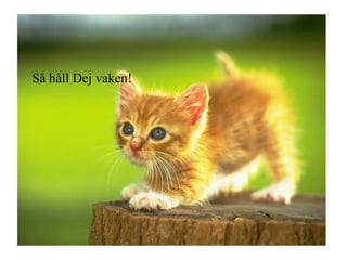 Så håll Dej vaken! 