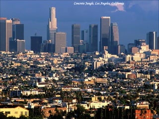 Concrete Jungle, Los Angeles, California 