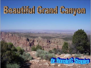 Dr. Ronald. G. Shapiro  November 30, 2008 Beautiful Grand Canyon Dr. Ronald G. Shapiro 