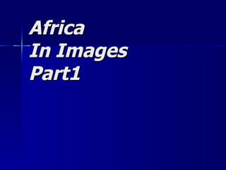 Africa In Images Part1 