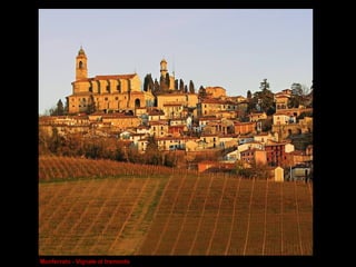Monferrato - Vignale al tramonto 