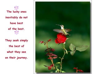 The lucky ones inevitably do not have best of the best. They seek simply the best of what they see on their journey. 