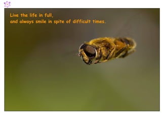 Live the life in full,  and always smile in spite of difficult times. 
