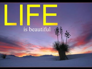 is beautiful LIFE 