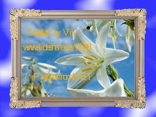 www.slideshare.net/vili48 Created  by  Vili Pictures from NET 