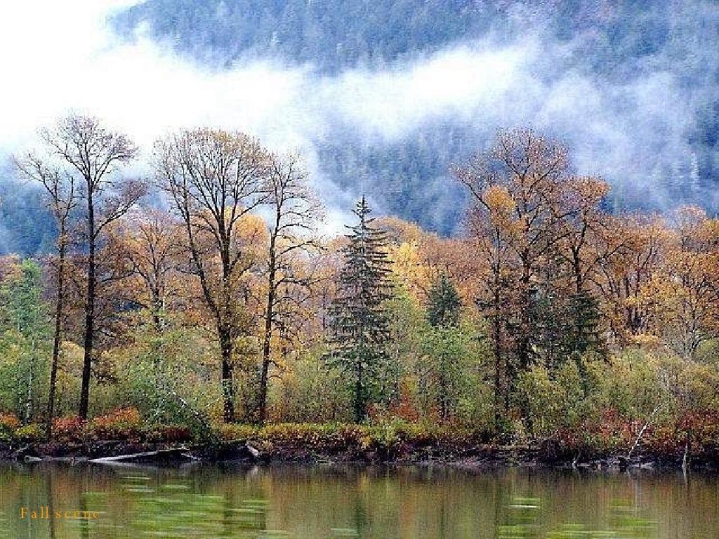 Fall scene
