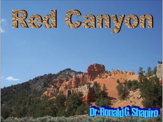 Dr. Ronald G. Shapiro  November 30, 2008 Red Canyon Dr. Ronald G. Shapiro 