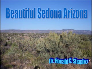Dr. Ronald G. Shapiro  November 30, 2008 Beautiful Sedona Arizona Dr. Ronald G. Shapiro 