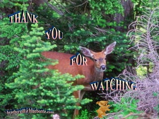 THANK YOU FOR WATCHING [email_address] 