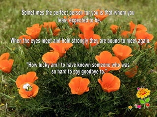 Sometimes the perfect person for you is that whom you least expected to be. When the eyes meet and hold strongly they are bound to meet again. "How lucky am I to have known someone who was so hard to say goodbye to." 