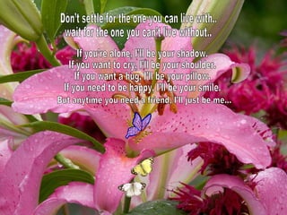 Don’t settle for the one you can live with.. wait for the one you can’t live without.. If you’re alone, I’ll be your shadow. If you want to cry, I’ll be your shoulder. If you want a hug, I’ll be your pillow. If you need to be happy, I’ll be your smile. But anytime you need a friend, I’ll just be me… 