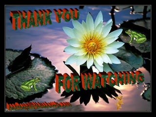 THANK YOU FOR WATCHING [email_address] 