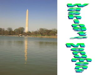 Washington Monument 