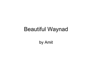 Beautiful Waynad by Amit 