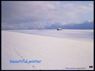 beautiful winter   * slides advance   automatically * 