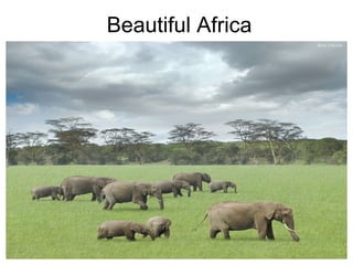 Beautiful Africa
 