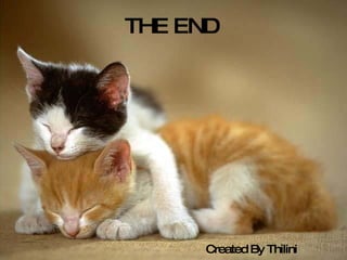 Created By Thilini THE END  