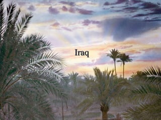Iraq
 
