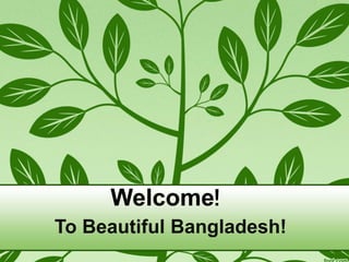 To Beautiful Bangladesh!
Welcome!
 