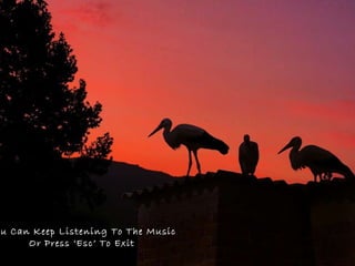 You Can Keep Listening To The Music  Or Press ‘Esc’ To Exit 