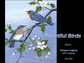 Music:

Canyon Legacy
  bird singing

   Hy-Van
 