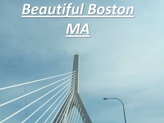 Beautiful BostonMA 