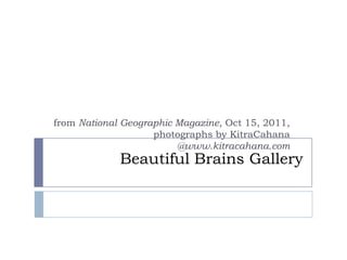 Beautiful Brains Gallery from National Geographic Magazine, Oct 15, 2011, photographs by KitraCahana  @www.kitracahana.com 