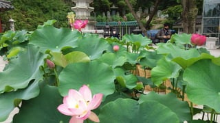 Beautiful Buk-Han-San Young-Bong Mountain in Seoul