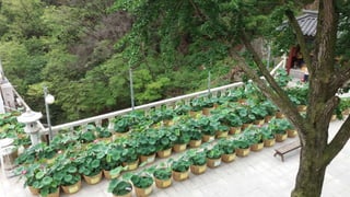 Beautiful Buk-Han-San Young-Bong Mountain in Seoul