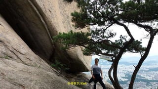 동행한 D J Park
 