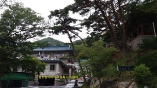 일요일이라서 그런지 차가 많다.
 