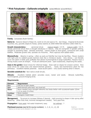 * Pink Fairyduster – Calliandra eriophylla (cal-lee-ANN-druh ear-ee-AW-fil-luh )
Family: Juncaceae (Rush Family)
Native to: Sonoran Desert of Baja CA, north to CA and east to TX. San Diego, Imperial & Riverside
Counties; dry, gravelly slopes & mesas, sandy washes at 2000-5000 feet elevation (600-1500 m).
Growth characteristics: perennial shrub mature height: 2-5 ft. mature width: 3-6 ft.
Woody perennial shrub that is drought deciduous in nature, may be evergreen in garden setting.
Upright to sprawling habit. Densely branched. Leaves bright to blue-green, compound with small
leaflets. Moderate growth rate; spreads via rhizomes. More vigorous with added water.
Blooms/fruits: Blooms in spring – often as early as Feb/Mar but may be Apr/May. Flower clusters
with light pink to reddish-purple stamens look like a miniature duster. Very showy – can literally
cover the plant in fluffy pink puffballs that attract hummingbirds & large butterflies. Flowers have a
strong musky scent at twilight. Fruits are dehiscent pods - open explosively, dispersing the seeds.
Uses in the garden: Good choice for informal hedge. Does well on slopes for erosion control. Nice
sized shrub for water-wise and desert-themed gardens. Good, low-maintenance plant for hot
parkways. Excellent habitat potential. Good accent plant – very exotic-looking when in bloom.
Sensible substitute for: Non-native small shrubs.
Attracts: Excellent habitat plant: provides cover, nectar and seeds. Attracts butterflies,
hummingbirds, ground foraging birds.
Requirements:
Element Requirement
Sun Full sun to part shade.
Soil Well-drained soils best; any local pH.
Water None needed (very drought tolerant) but looks better with occasional water (Zone
1-2 or even 2 is fine)
Fertilizer None needed.
Other Inorganic mulch best
Management: Tip-prune to increase fullness if desired. Light pruning to shape in late spring after
flowering. Other than that, minimal management needed. Very pest-free.
Propagation: from seed: hot water treatment; easy by cuttings: ?
Plant/seed sources (see list for source numbers): 1, 3, 8, 11, 13, 28 5/2/11
* Native to CA but not to Western L.A. Co. © Project SOUND
 