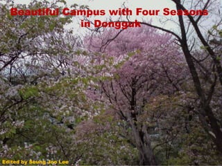 Beautiful Campus with Four Seasonsin Dongguk Edited by SeungJoo Lee 