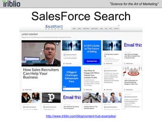 T-Mobile 
“Science for the Art of Marketing” 
http://www.triblio.com/blog/content-hub-examples/ 
 