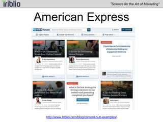 “Science for the Art of Marketing” 
American Express 
http://www.triblio.com/blog/content-hub-examples/ 
 