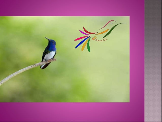 Beautiful Costa Rica Artwork For Sale