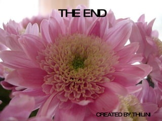 THE END CREATED BY THILINI 