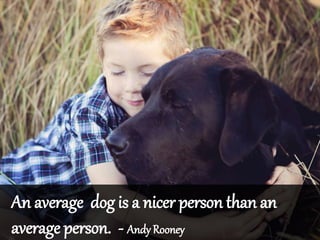 An average dog is a nicer person than an
average person. - Andy Rooney
 
