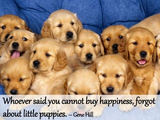 Whoever said you cannot buy happiness, forgot
about little puppies. – Gene Hill
 