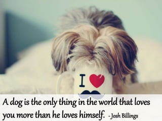 A dog is the only thing in the world that loves
you more than he loves himself. - Josh Billings
 