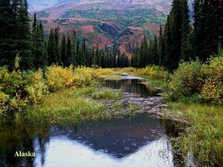 Alaska 