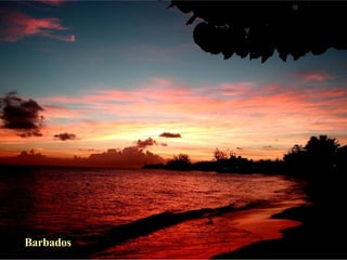 Barbados 