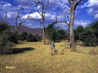 Kenya 