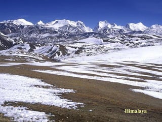 Himalaya 