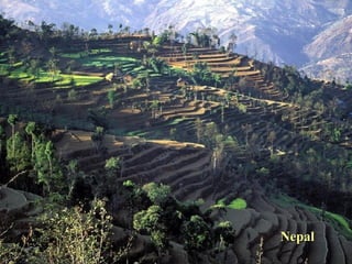 Nepal 