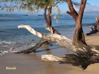 Hawaii 